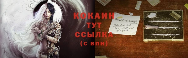 индика Иннополис