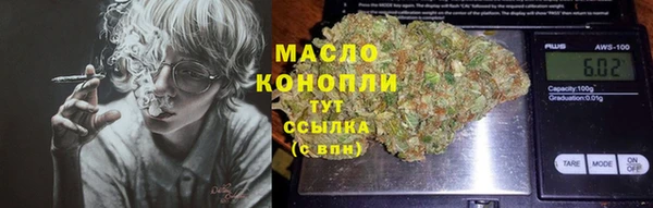 индика Иннополис