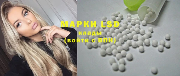 гашик Инта