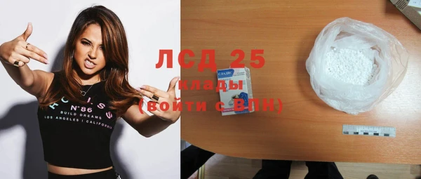 гашик Инта