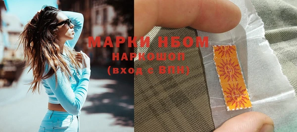 гашик Инта