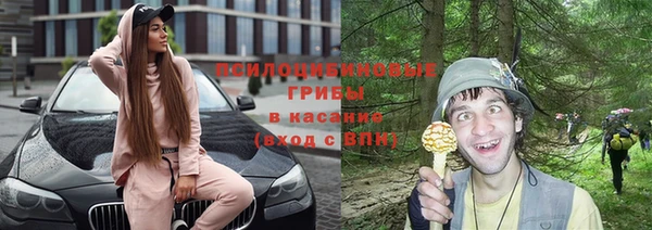 первитин Инсар