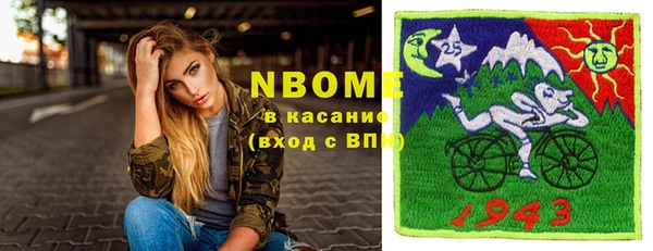 индика Иннополис