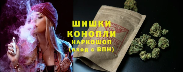гашик Инта