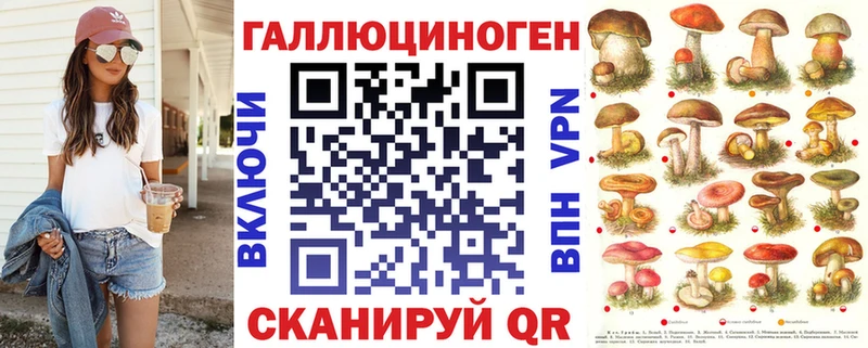 Купить закладки  Электрогорск  Псилоцибиновые грибы мухоморы 