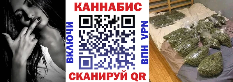Купить закладки  Электрогорск  МАРИХУАНА тримм 